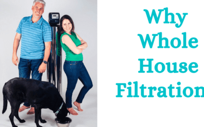 3 Reasons You Need a Whole House Filter