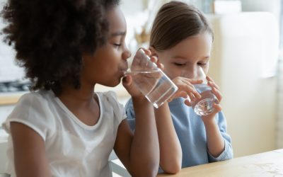 Upgrade Your Water Quality with the Pentair PC600-R Carbon Replacement Media